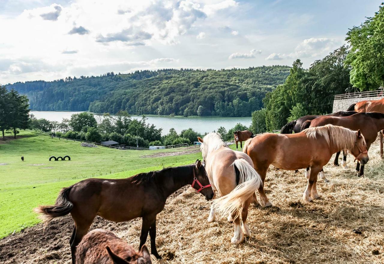 Lesniczowka Wiezyca I Domki Szymbark  Esterno foto
